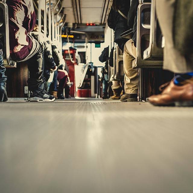 Bus