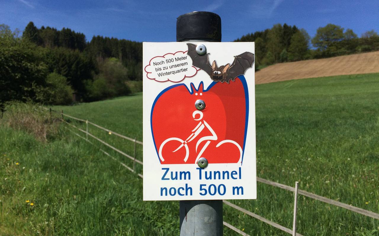 Der Sauerland-Radring wird am 19.05.2017 genau 10 Jahre alt. Er ist 84 Kilometer lang und führt u.a. durch den sog. Fledermaustunnel. Der Sauerland-Radring führt 84 km lang durch schönste sauerländer Natur. Das Wegezeichen zeigt eine Fledermaus.
