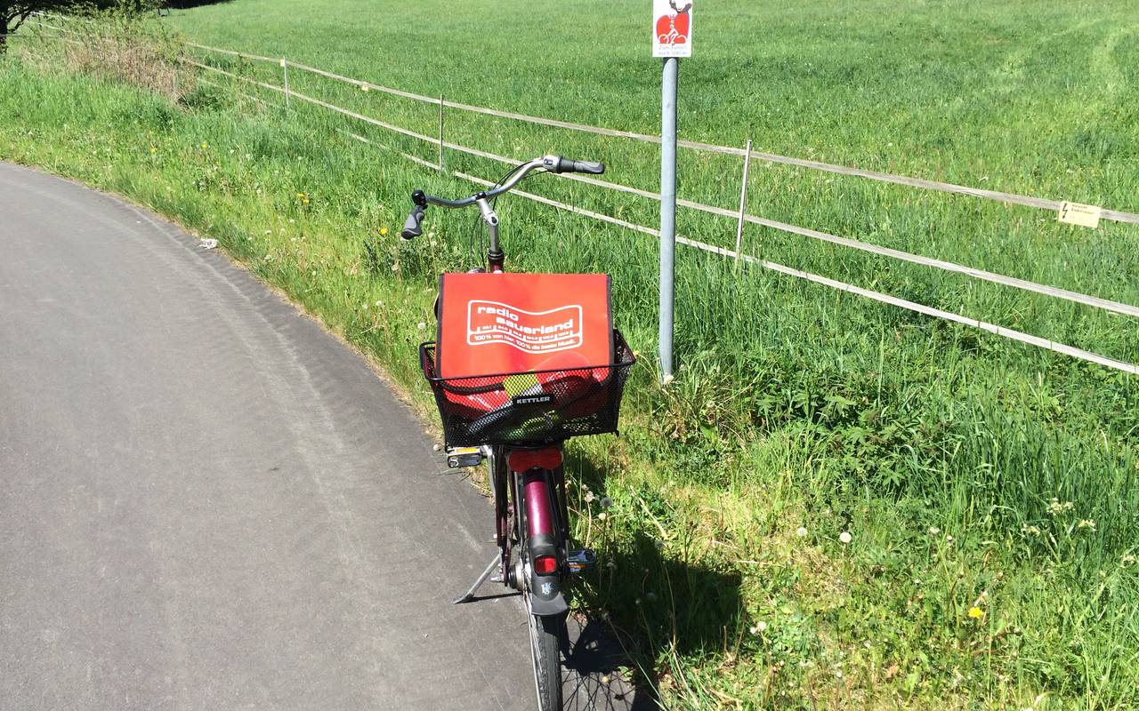Der Sauerland-Radring wird am 19.05.2017 genau 10 Jahre alt. Er ist 84 Kilometer lang und führt u.a. durch den sog. Fledermaustunnel. Der Sauerland-Radring führt 84 km lang durch schönste sauerländer Natur. Das Wegezeichen zeigt eine Fledermaus.