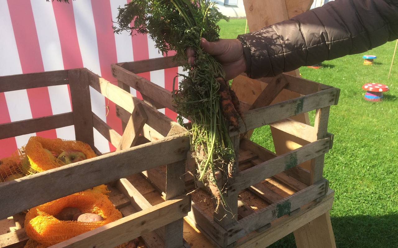 Die Tauschbörse in Meschede-Grevenstein ist ein Projekt des Dorfvereins Grevenstein, entstanden im August 2017. Etwas aus dem eigenen Garten hineinlegen und etwas anderes wegnehmen, so das Prinzip. Das Obst und Gemüse kommt ausschließlich aus eigenen Gärten in Grevenstein.
