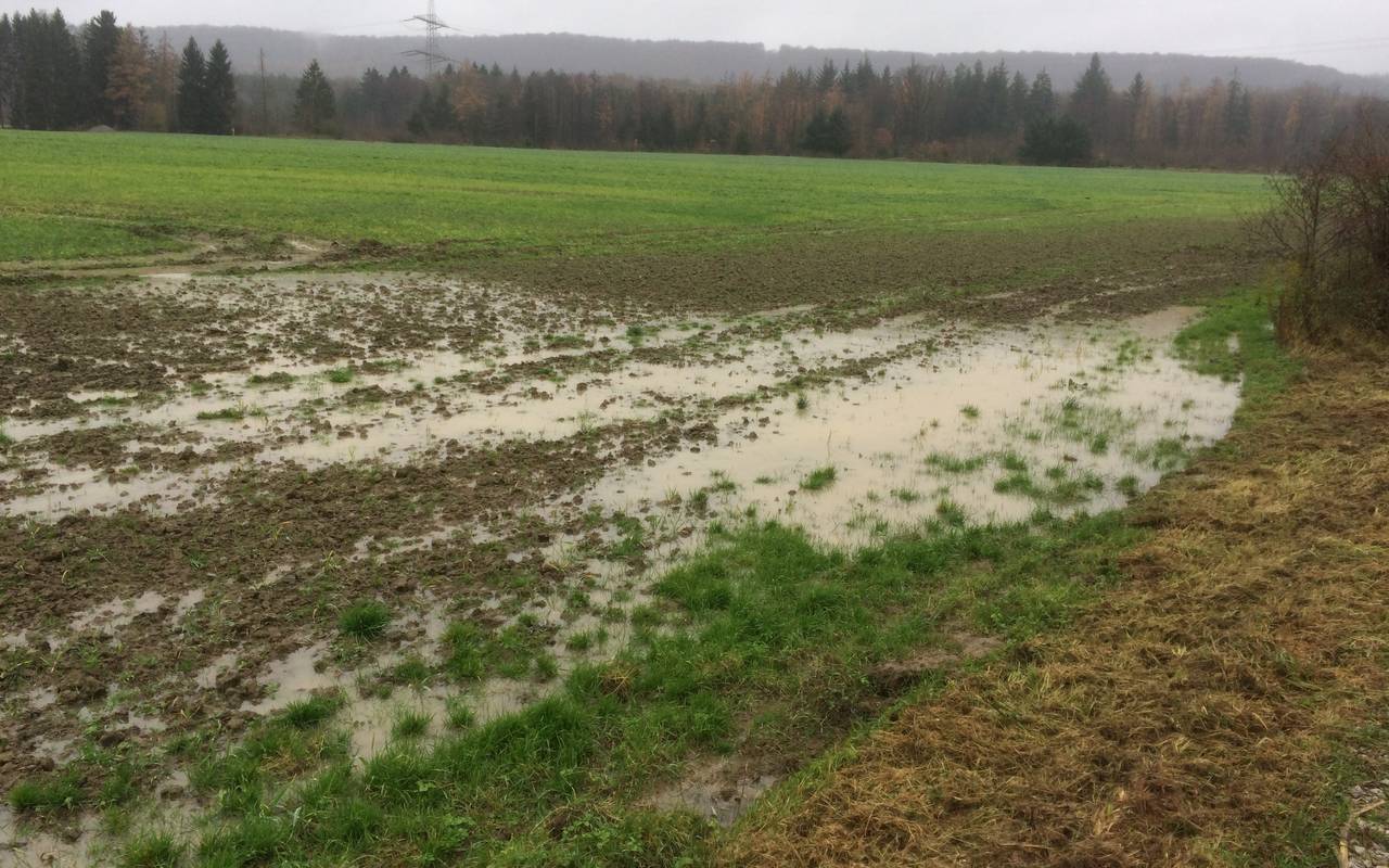 Unter Wasser stehender Acker im November 2017 am Ortsrand von Bredelar.