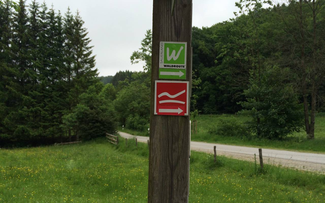 Das rote Zeichen des Rothaarsteigs.