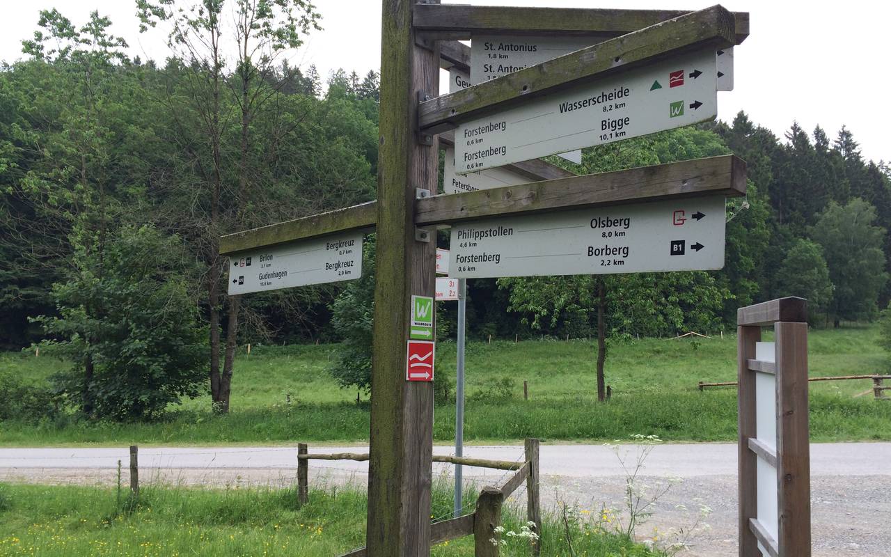 Wanderzeichen auf dem Rothaarsteig.