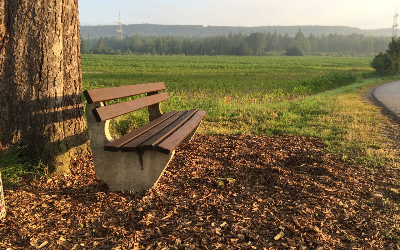 Morgenstimmung im Sauerland bei Bredelar (Juni 2016).