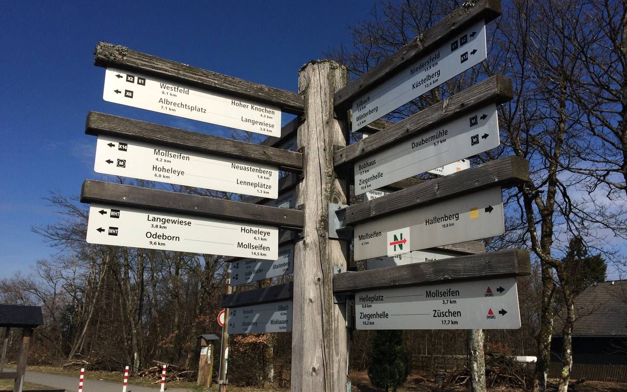 Ein Wanderschilderbaum auf dem Kahlen Asten. Hier hat der Wanderer die Qual der Wahl.