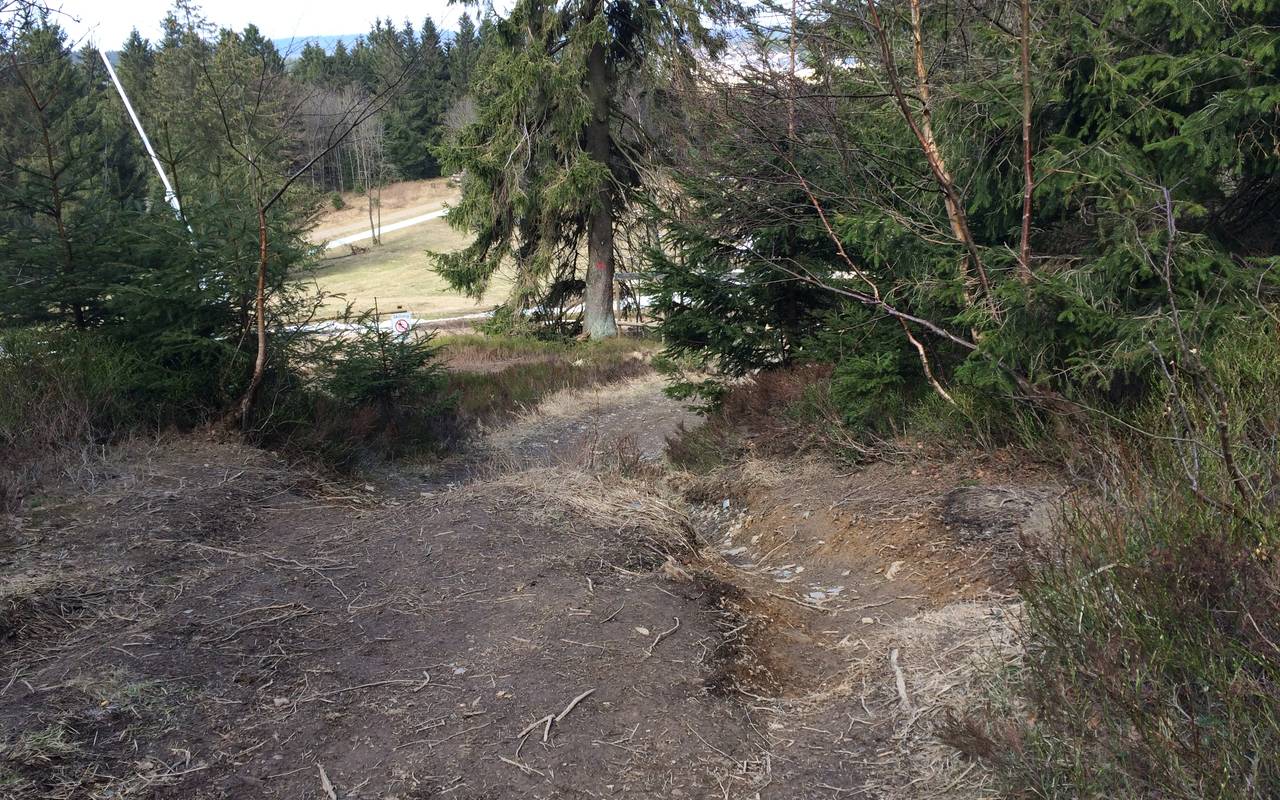 Ein Mountainbike-Trail auf dem Kahlen Asten. Solche Auswaschungen beginnen meist mit einer harmlosen Mountainbike-Spur.