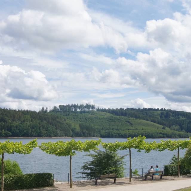 Am Sorpesee in Sundern-Langscheid