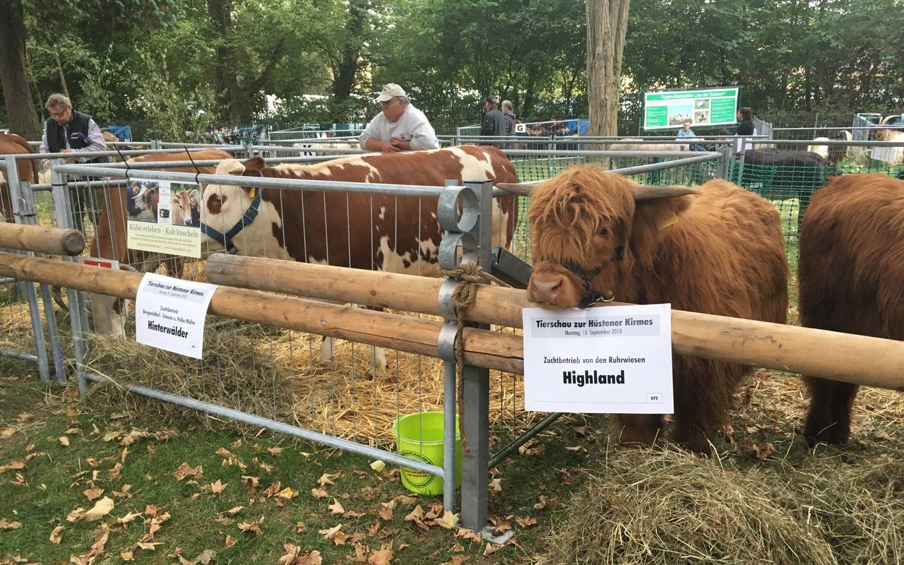 Tierschau in Hüsten 2018.