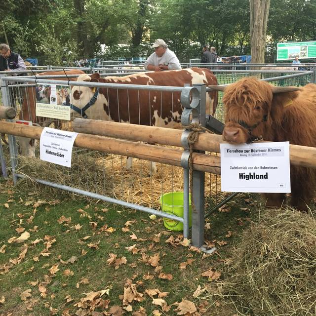 Tierschau in Hüsten 2018.