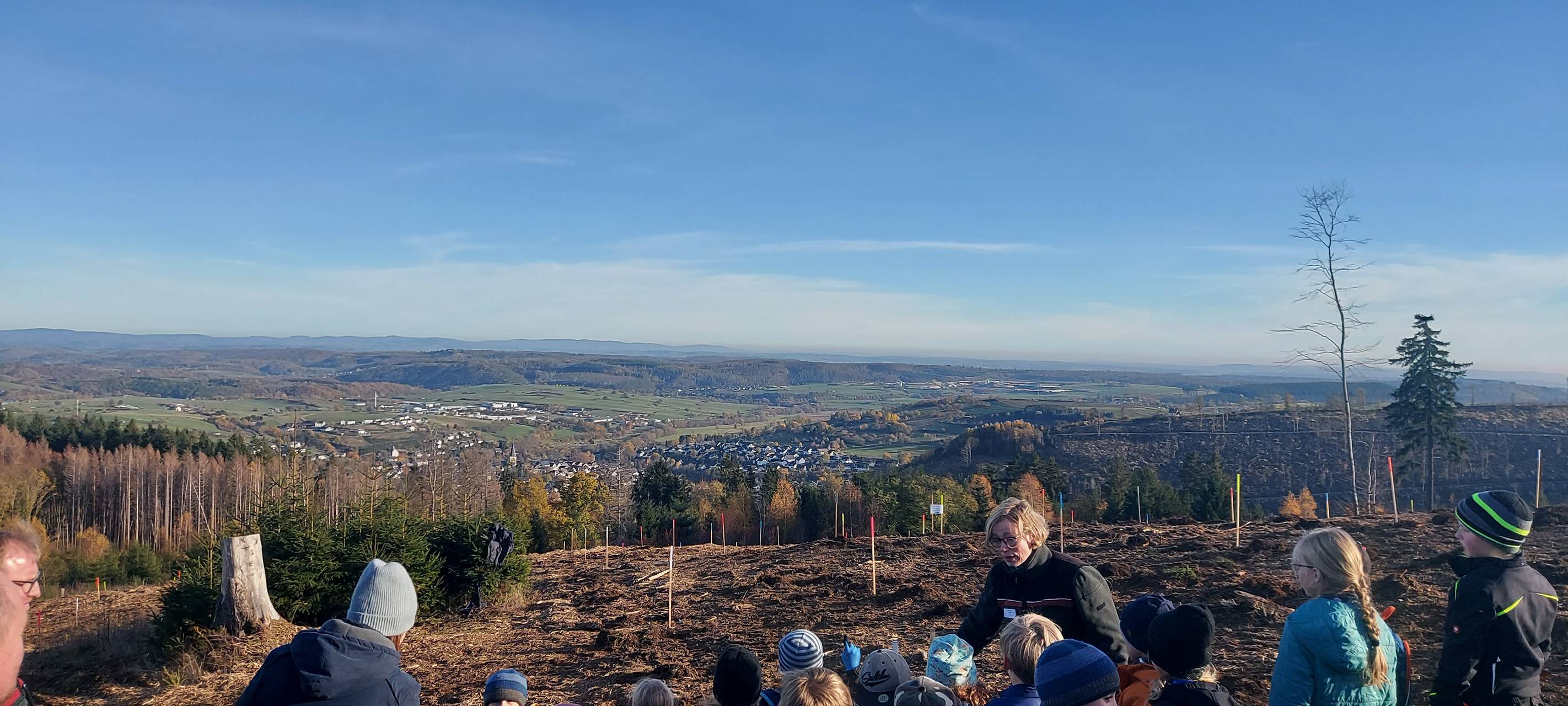 Hallenberg und die Zukunft des Stadtwaldes