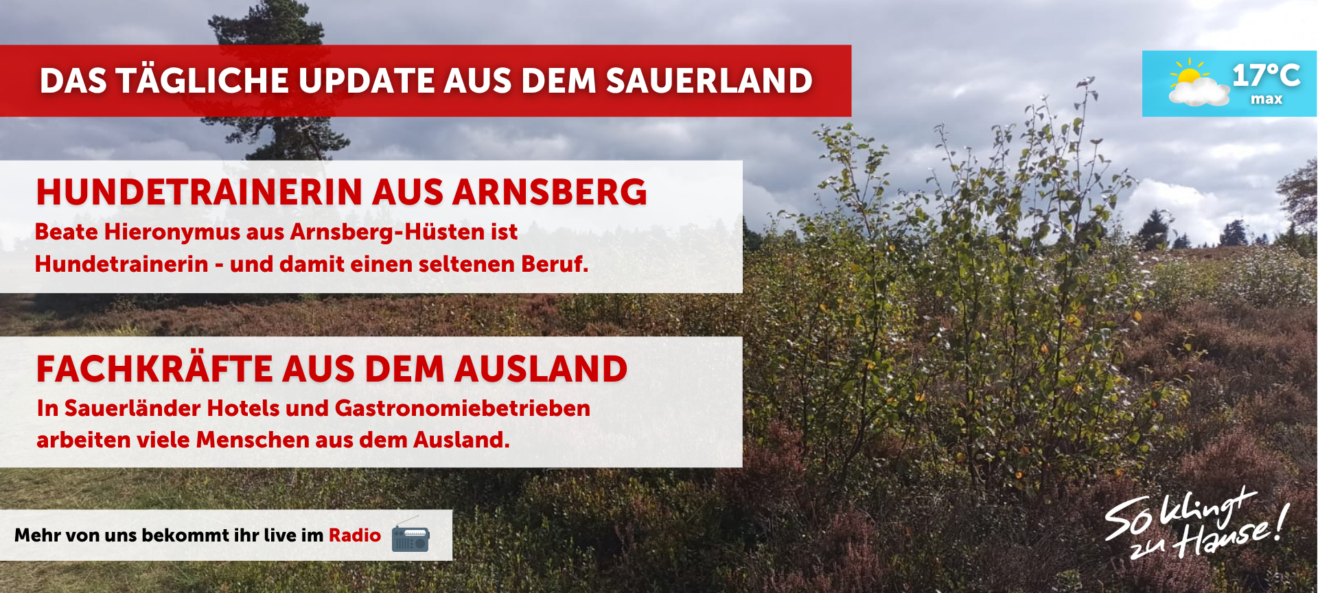 Thema aus der Sendung verpasst? Kein Problem!