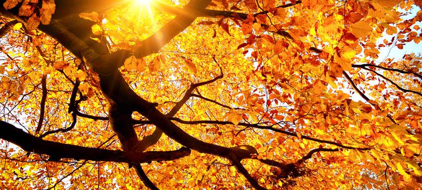 Betriebe im Sauerland verdienen am Umweltschutz