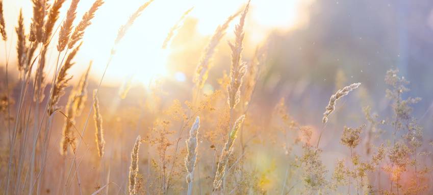 Düngerimporte im Sauerland