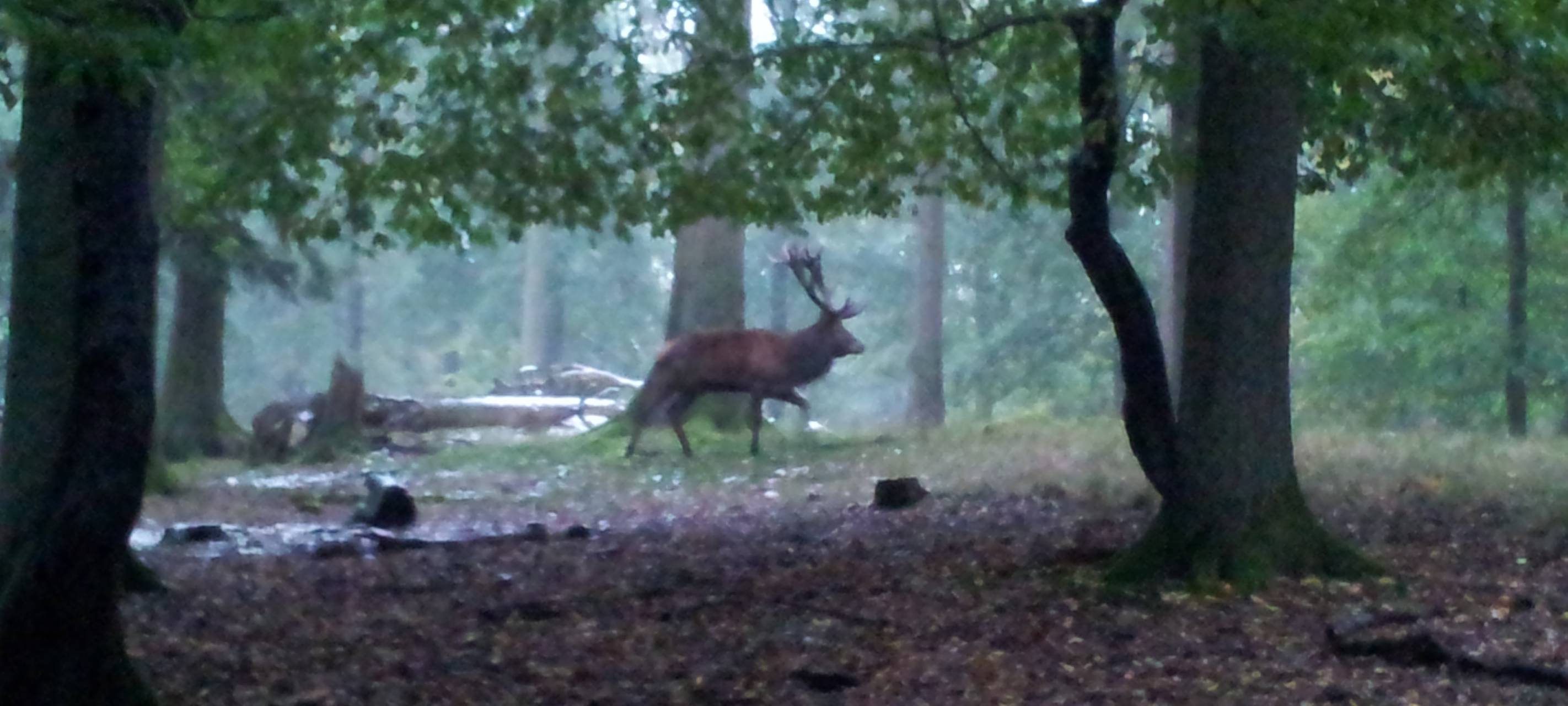 Sauerland: Ausflügler sollten auf den Wegen bleiben