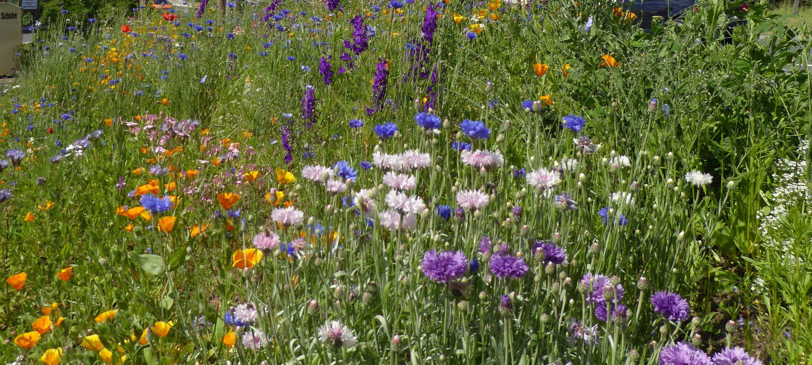 "StadtGrün naturnah"