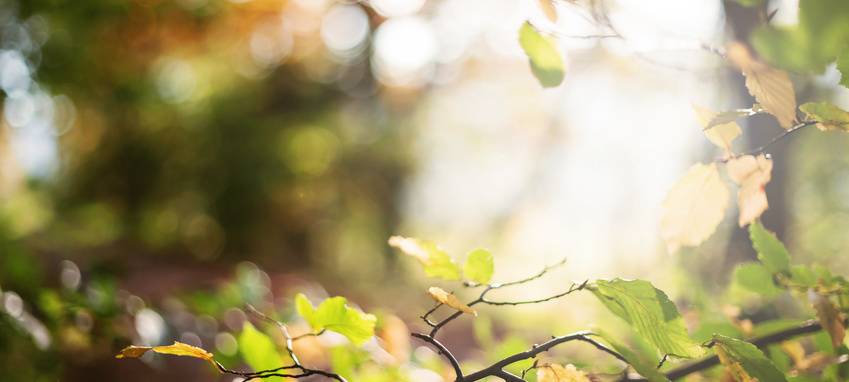 Wetterbilanz März 2020