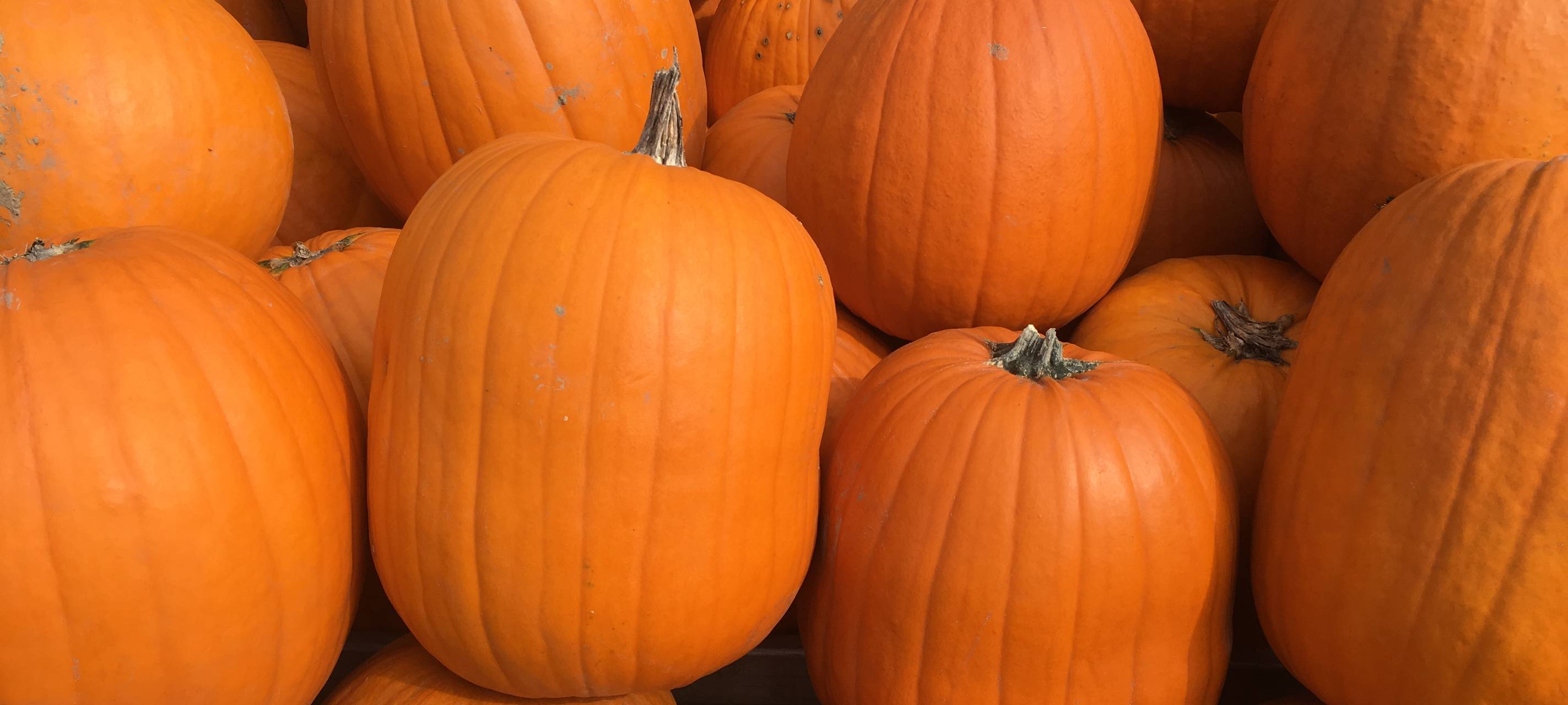 Sauerland: Projekt Wertvoll NRW