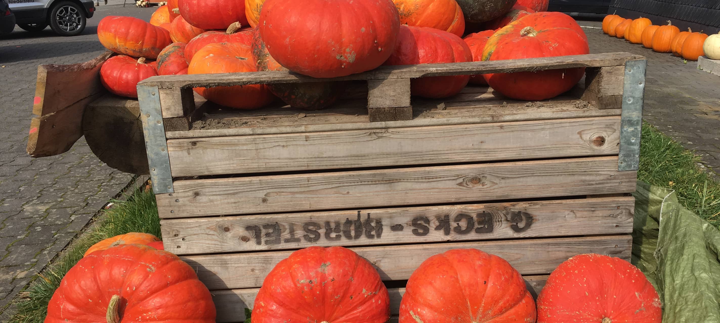 Herbstfeste in Hüsten und Eslohe