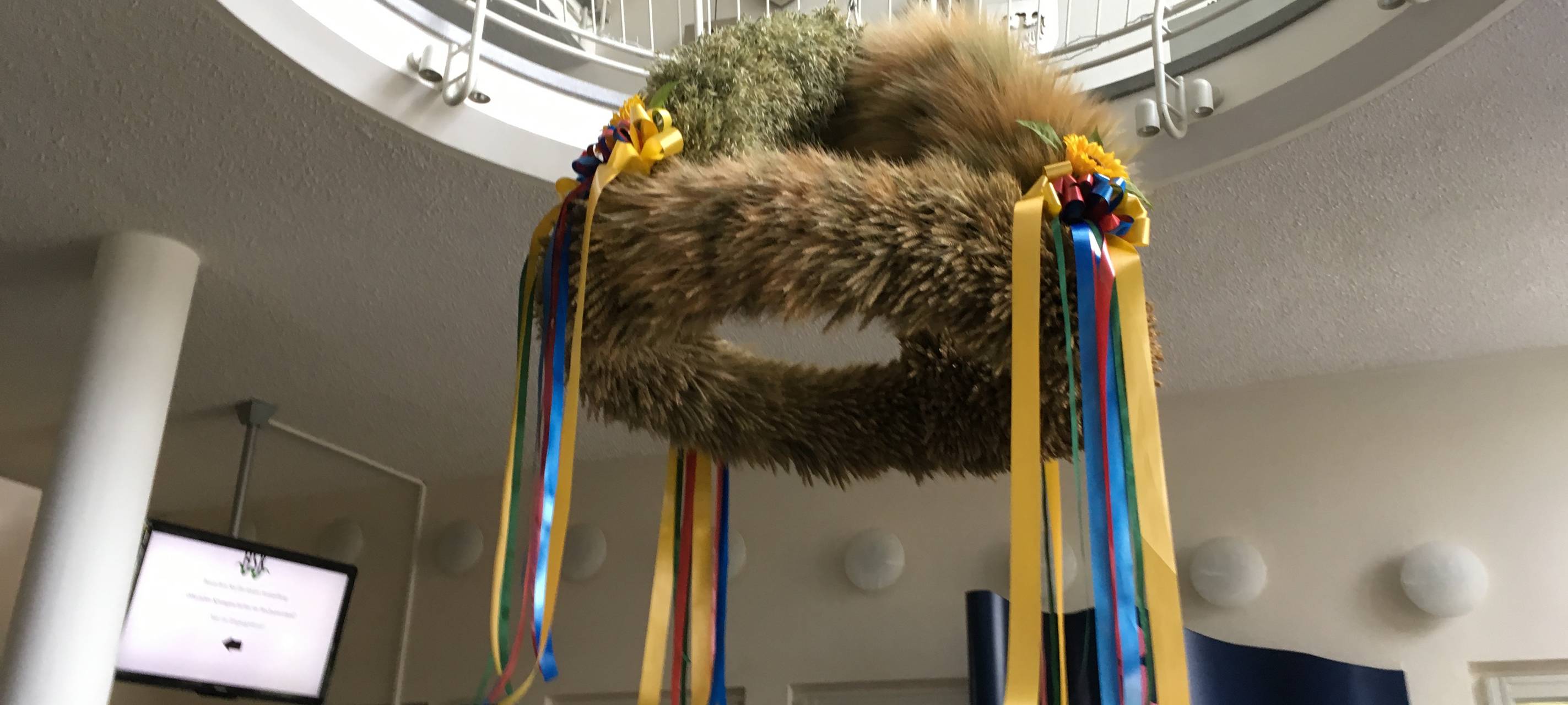 Landwirte im Sauerland leiden erneut unter Dürre