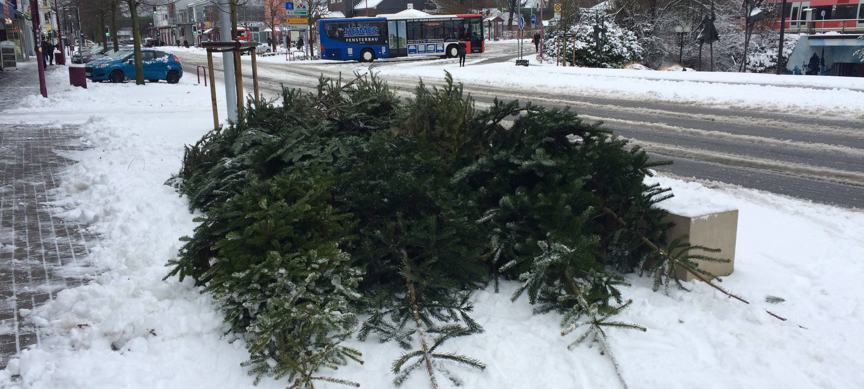 Tannenbäume in der Mescheder Innenstadt (Jan. 2017), zusammengelegt zum Abtransport.