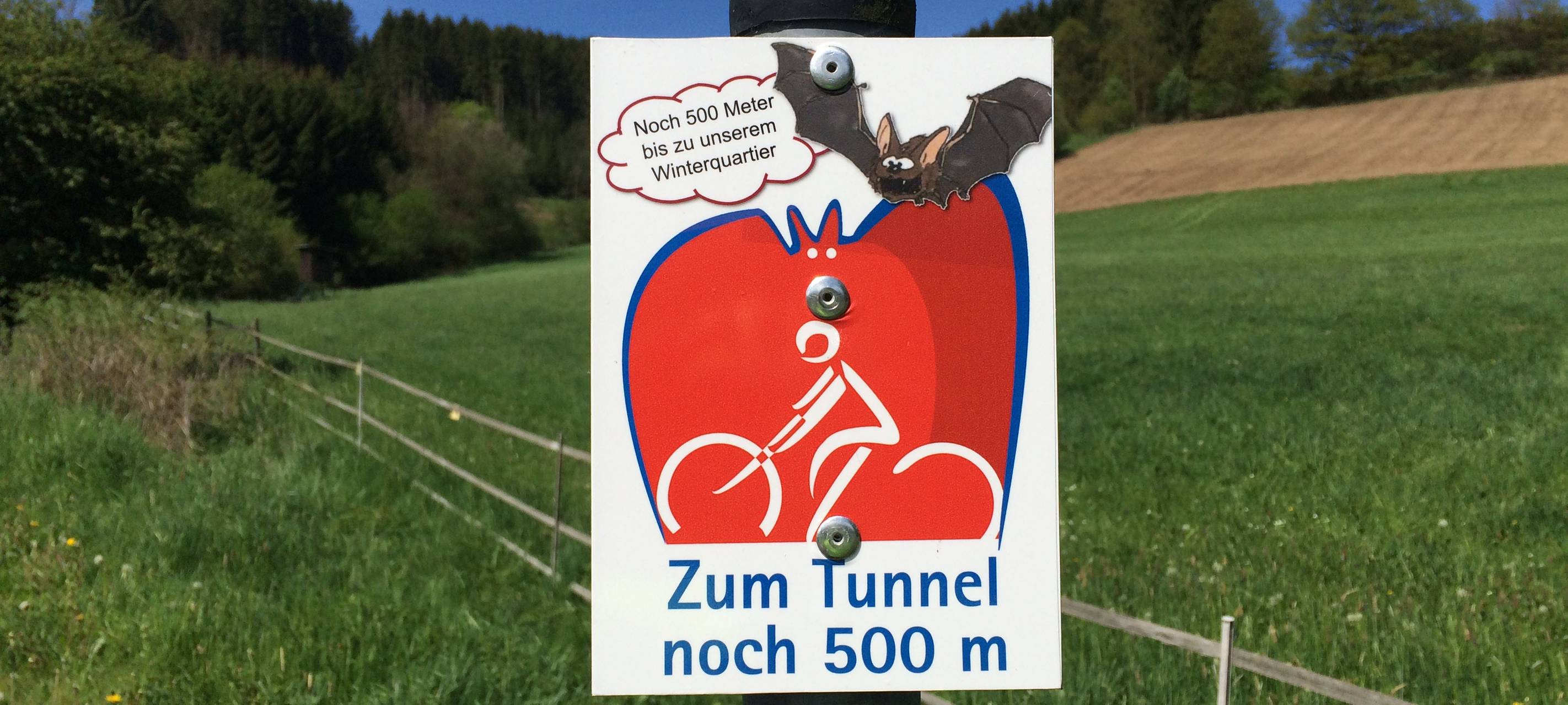 Der Sauerland-Radring ist 84 Kilometer lang und führt u.a. durch den sog. Fledermaustunnel.
