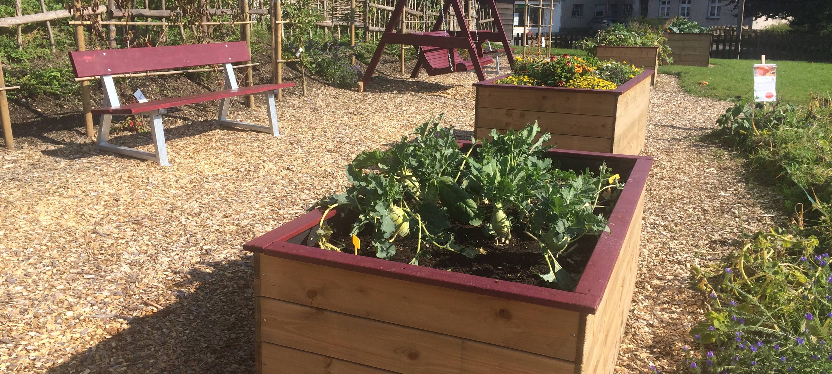 Der Vikariegarten in MES-Grevenstein wird von der Dorfgemeinschaft gepflegt. Auch der Kindergarten hilft mit, die Hochbeete zu bewirtschaften.
