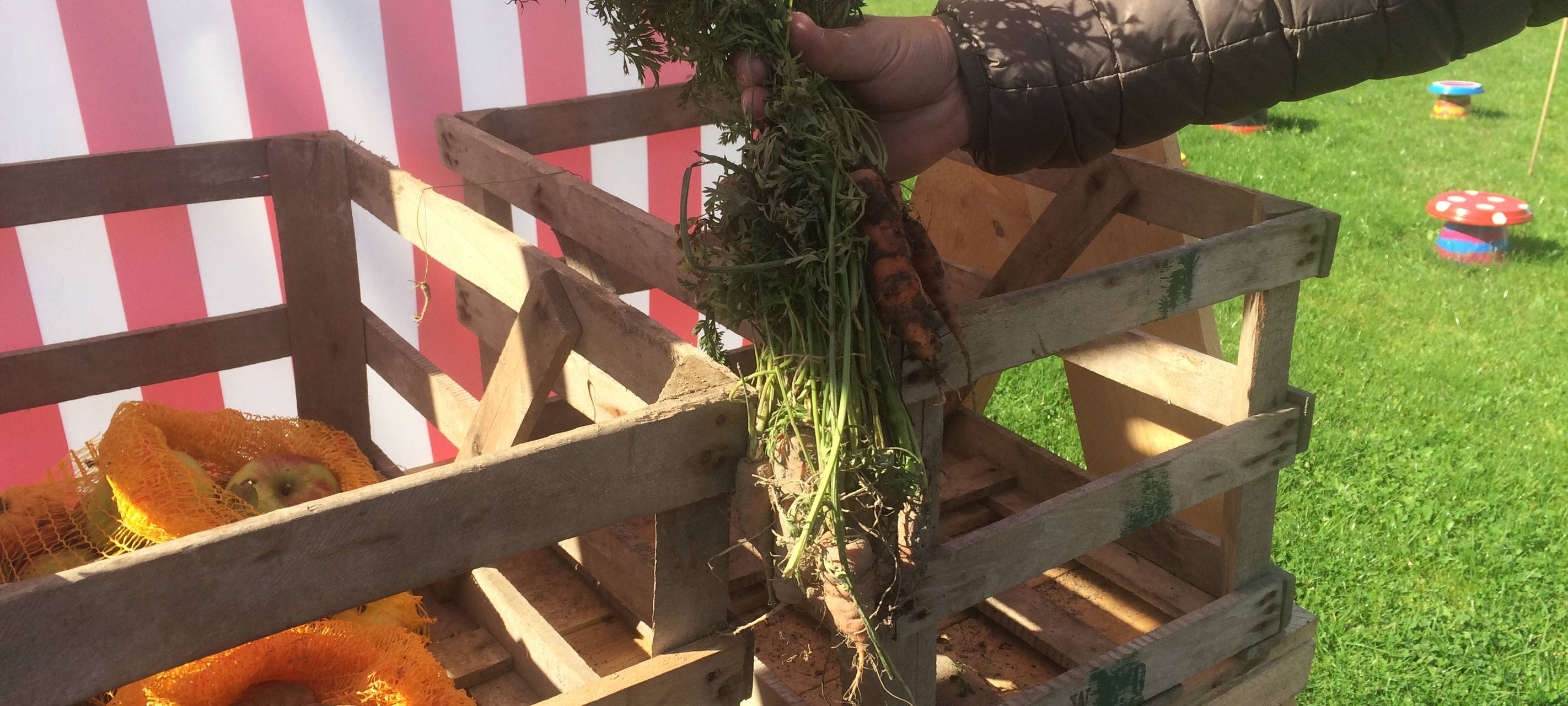 Die Tauschbörse in Meschede-Grevenstein ist ein Projekt des Dorfvereins Grevenstein, entstanden im August 2017. Etwas aus dem eigenen Garten hineinlegen und etwas anderes wegnehmen, so das Prinzip. Das Obst und Gemüse kommt ausschließlich aus eigenen Gärten in Grevenstein.