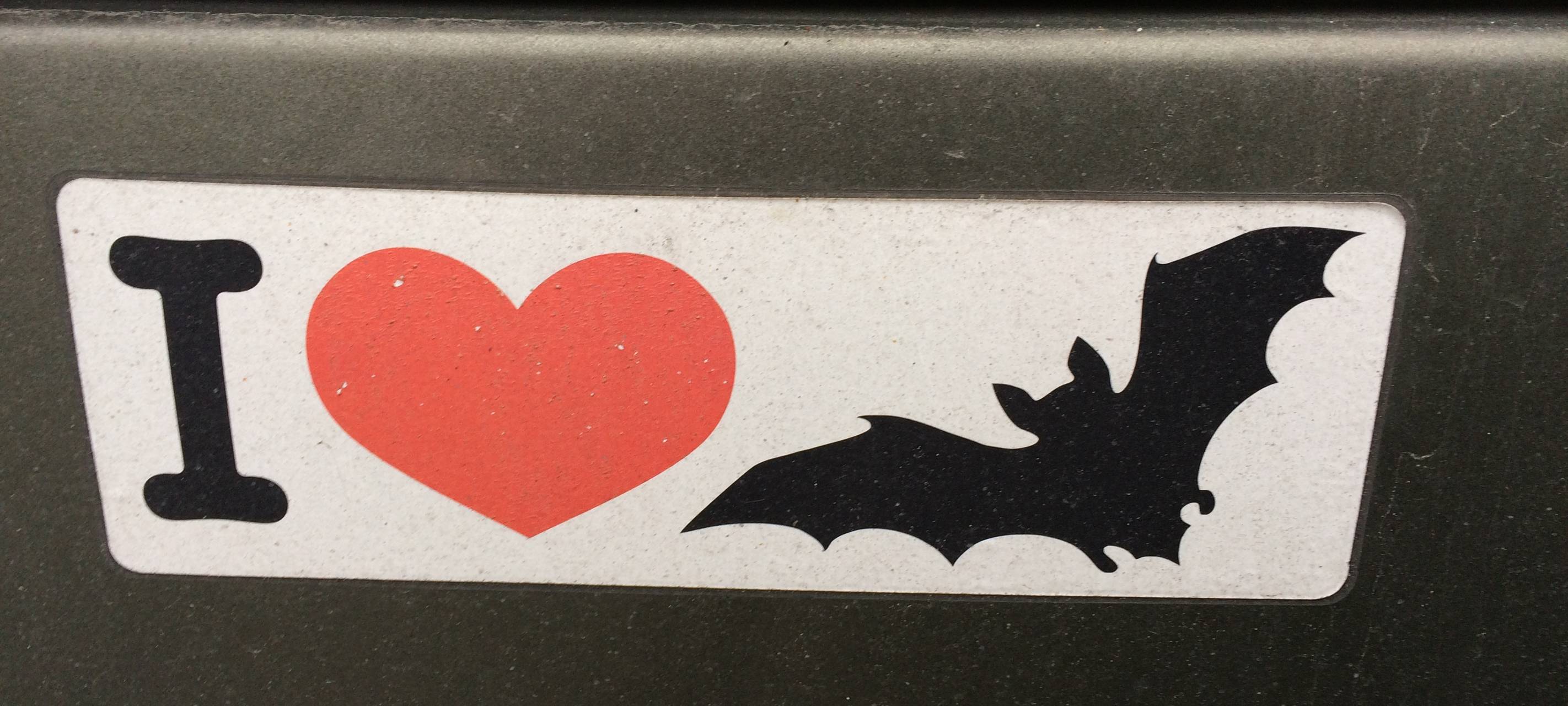 In AR-Wennigloh soll die erste BUND-Fledermausstation in NRW entstehen. Eine erste Inspektion hat im Okt. 2017 stattgefunden. bei positiven Bescheid durch den BUND soll die Station im Frühjahr 2017 an den Start gehen. Fledermaus-Expertin ist Ursula Kaufmann aus Wennigloh, die Station soll in ihrem Haus eingerichtet werden.