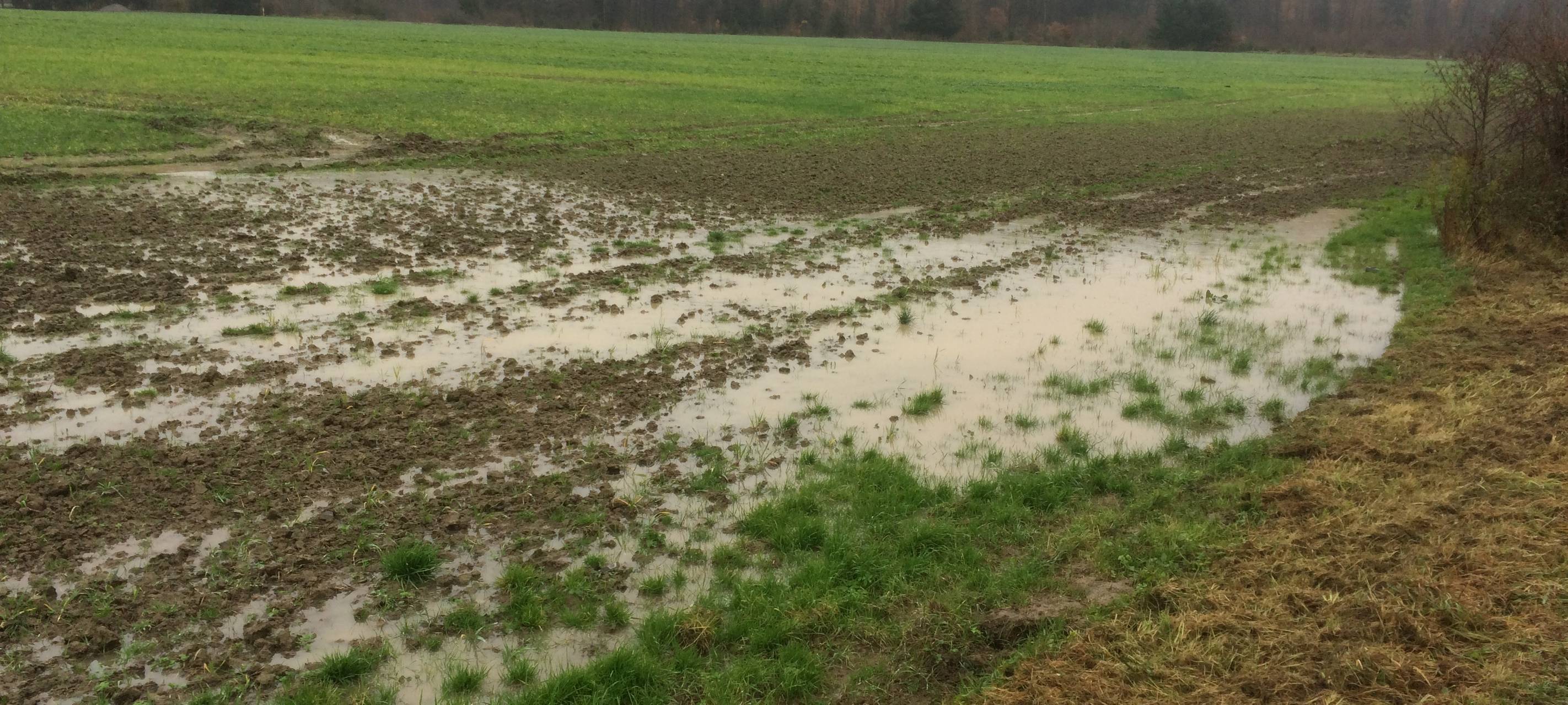 Unter Wasser stehender Acker im November 2017 am Ortsrand von Bredelar.