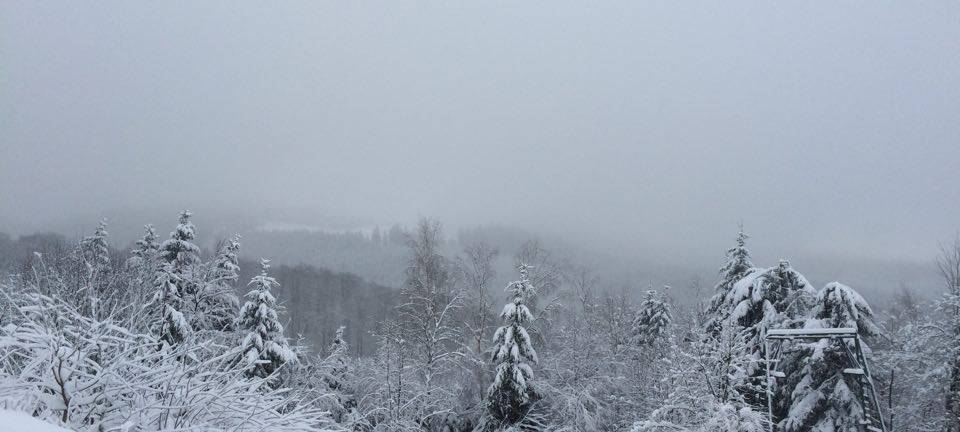Winterlandschaft, Schnee, Kälte