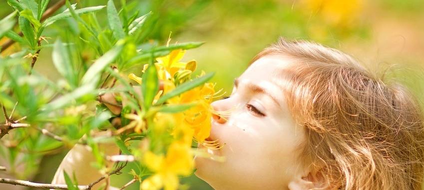 Zum Nachhören: Pollen im Anflug