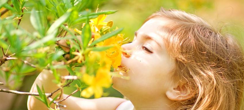 Offene Gärten im Ruhrbogen