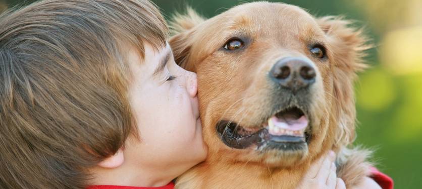Immer mehr Sauerländer haben einen Hund