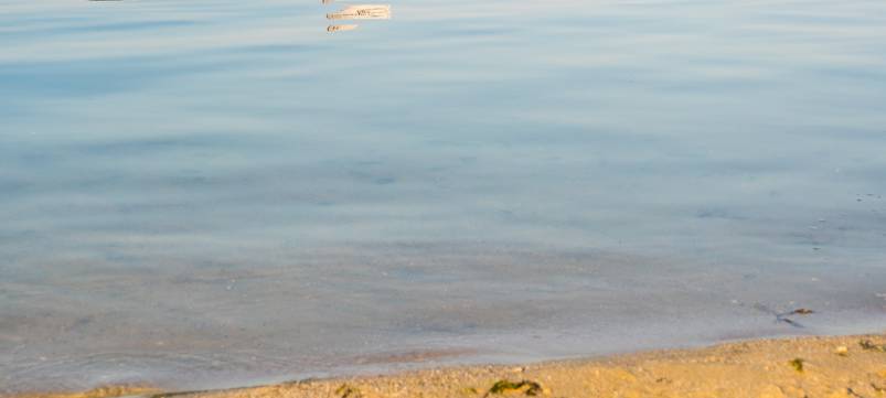 DLRG befürchtet mehr Badetote
