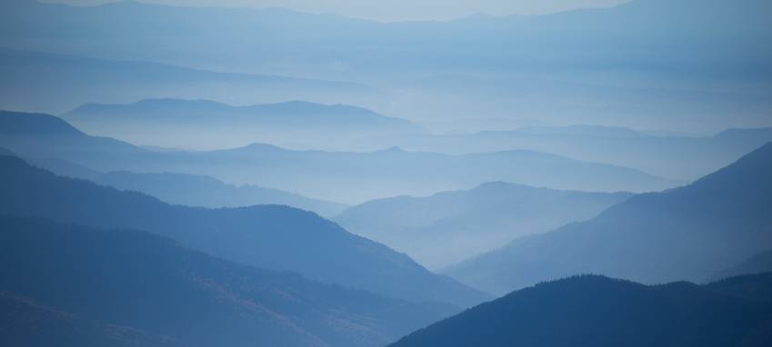 Naturpark Sauerland Rothaargebirge wächst