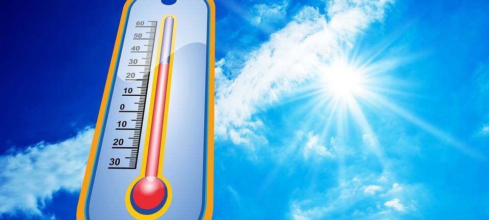 Sommerbilanz: zu trocken und zu warm