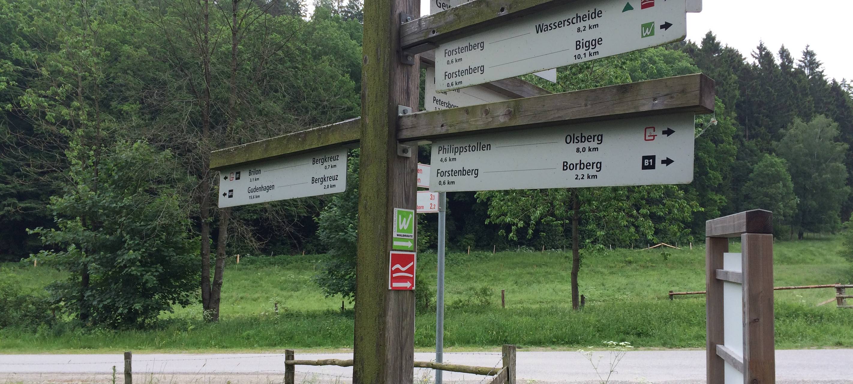 Wanderschild am Rothaarsteig.