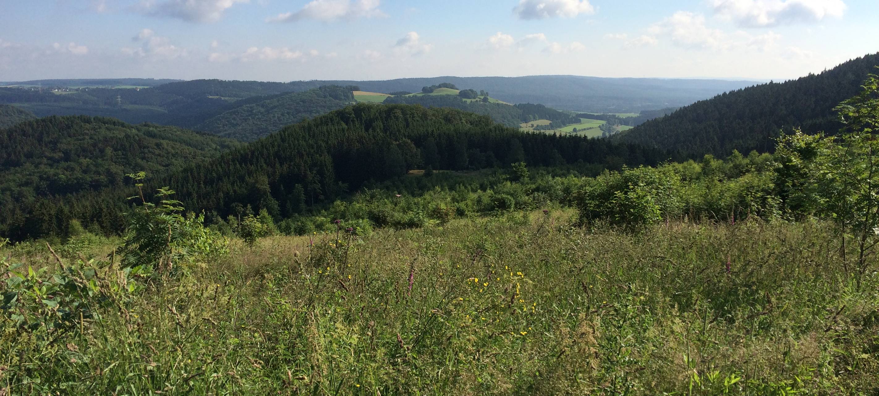 Auf den Höhen von Marsberg-Padberg (Juni 2016).