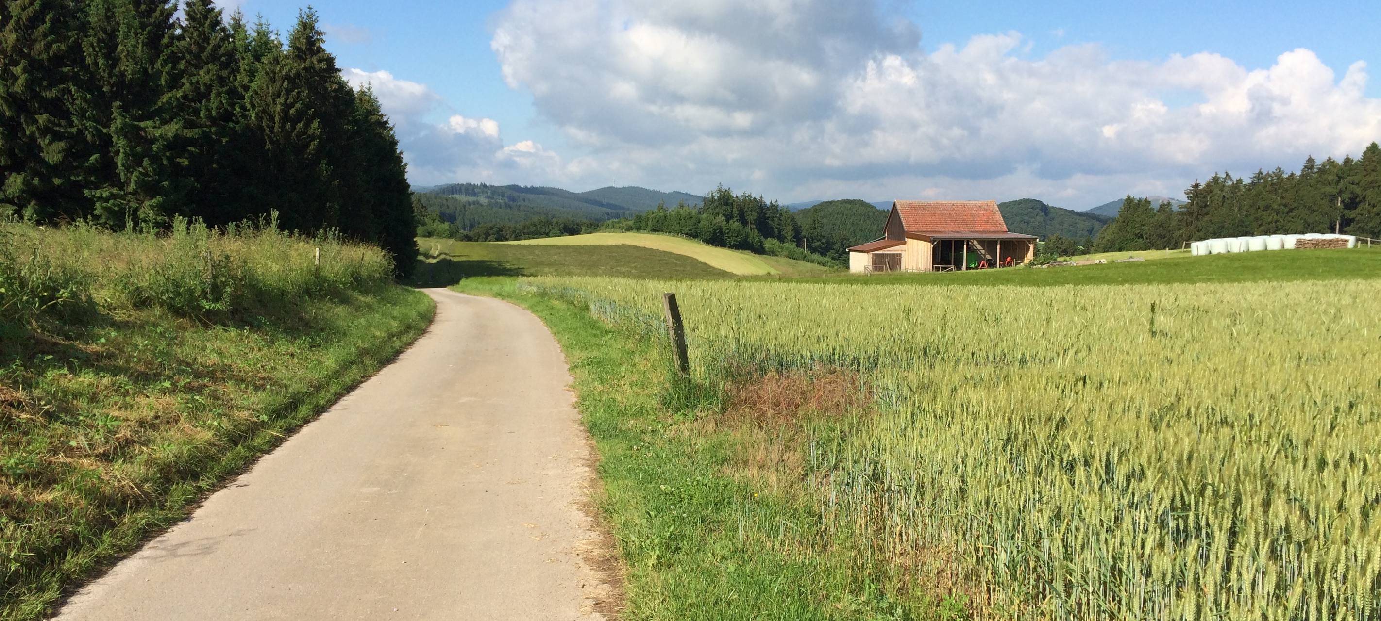 Panoramablick zwischen Marsberg-Padberg und Brilon-Messinghausen