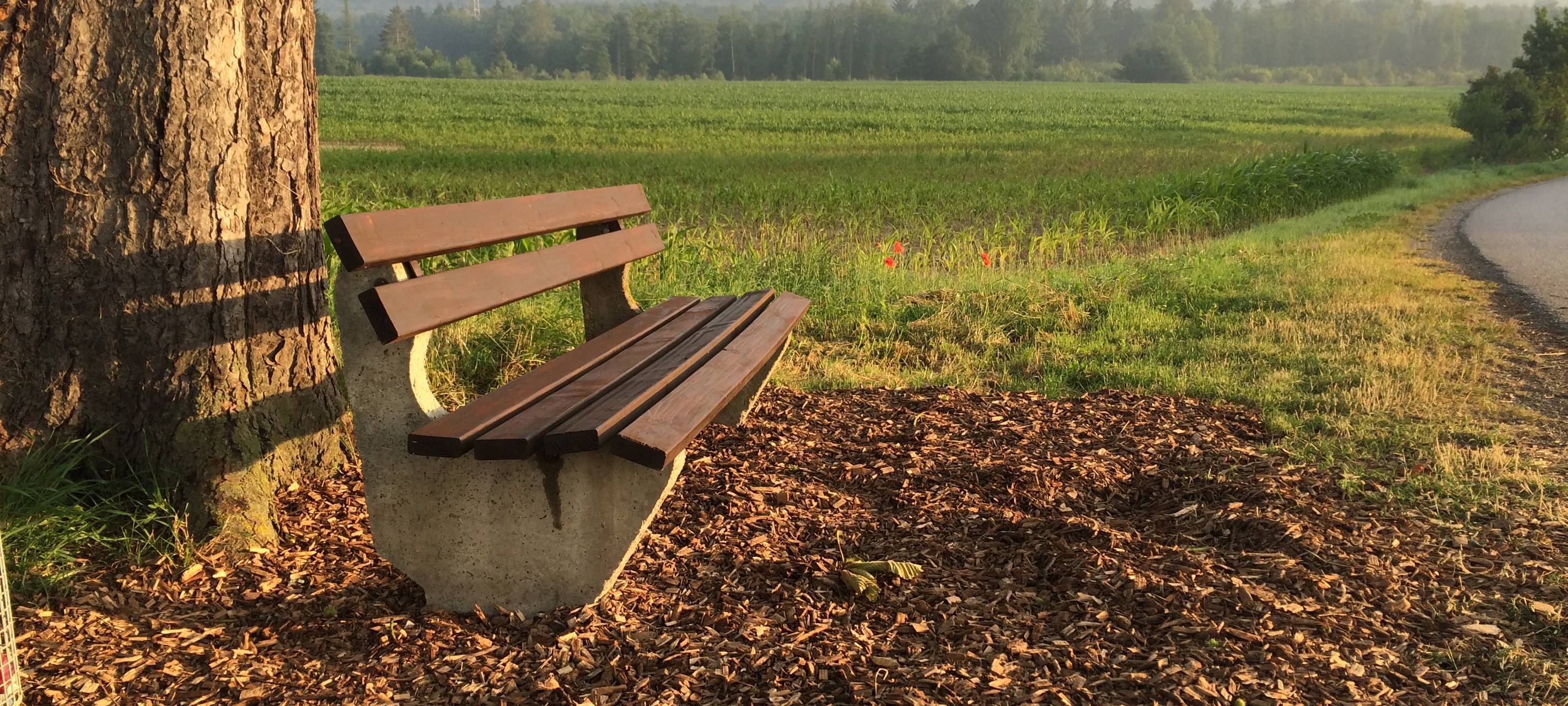 Morgenstimmung im Sauerland bei Bredelar (Juni 2016).