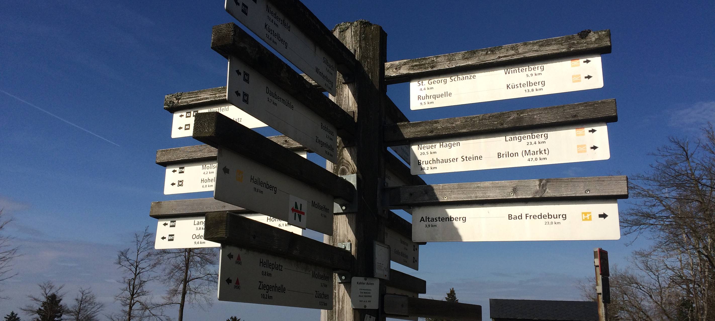 Ein Wanderschilderbaum auf dem Kahlen Asten. Hier hat der Wanderer die Qual der Wahl.