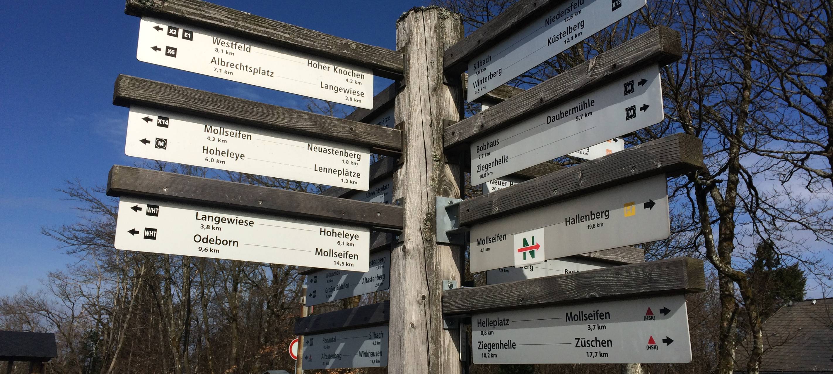 Ein Wanderschilderbaum auf dem Kahlen Asten. Hier hat der Wanderer die Qual der Wahl.