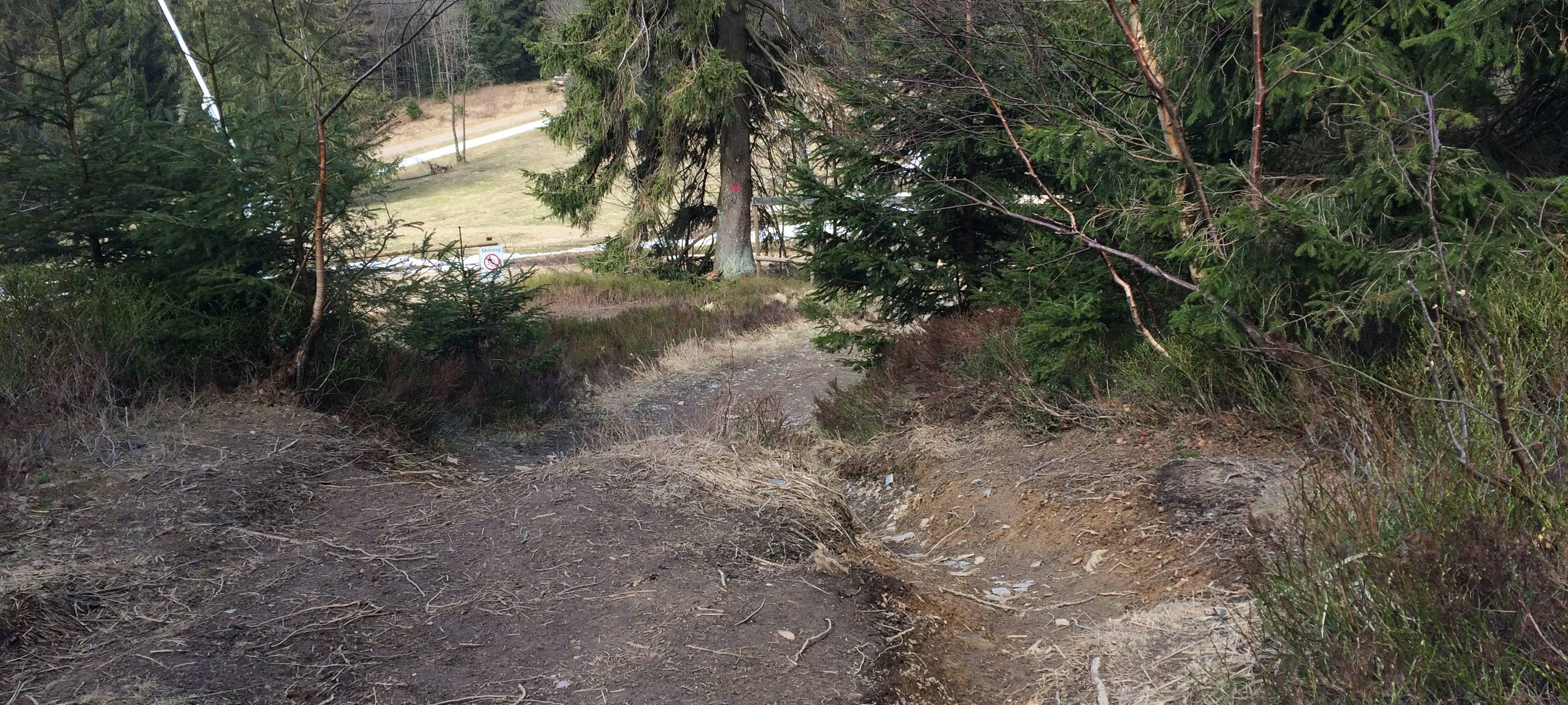 Ein Mountainbike-Trail auf dem Kahlen Asten. Solche Auswaschungen beginnen meist mit einer harmlosen Mountainbike-Spur.