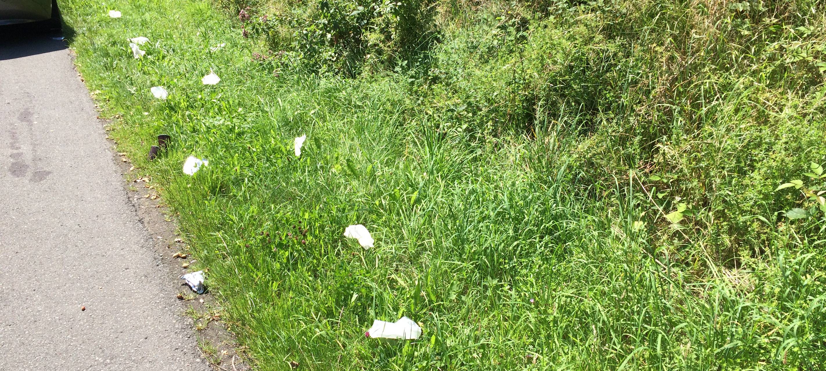 Müll am Sorpesee am 19.07.2017, keine 24 Stunden nach der großangelegten Generalreinigung. Vor 24 Stunden hatte Martin Levermannvon der Sorpesee GmbH bereits die Ufer des Sorpesees absuchen lassen. Keine 24 Stunden ist es her, daß eine ganze Müllkolonne die Ufer des Sorpesees abgesucht hat.