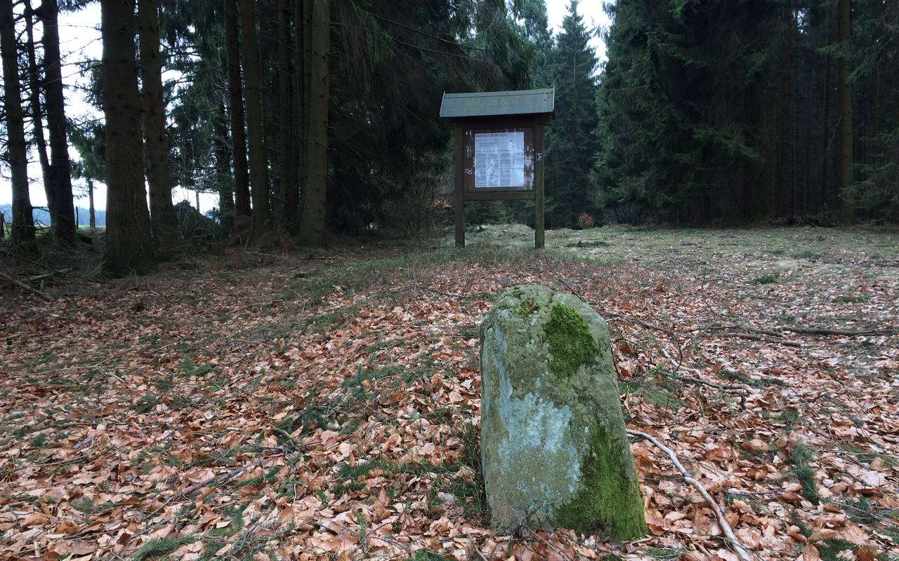 Schnadestein auf dem Lagerplatz "An der Horst" bei Brilon-Rixen, Schnade 2018.