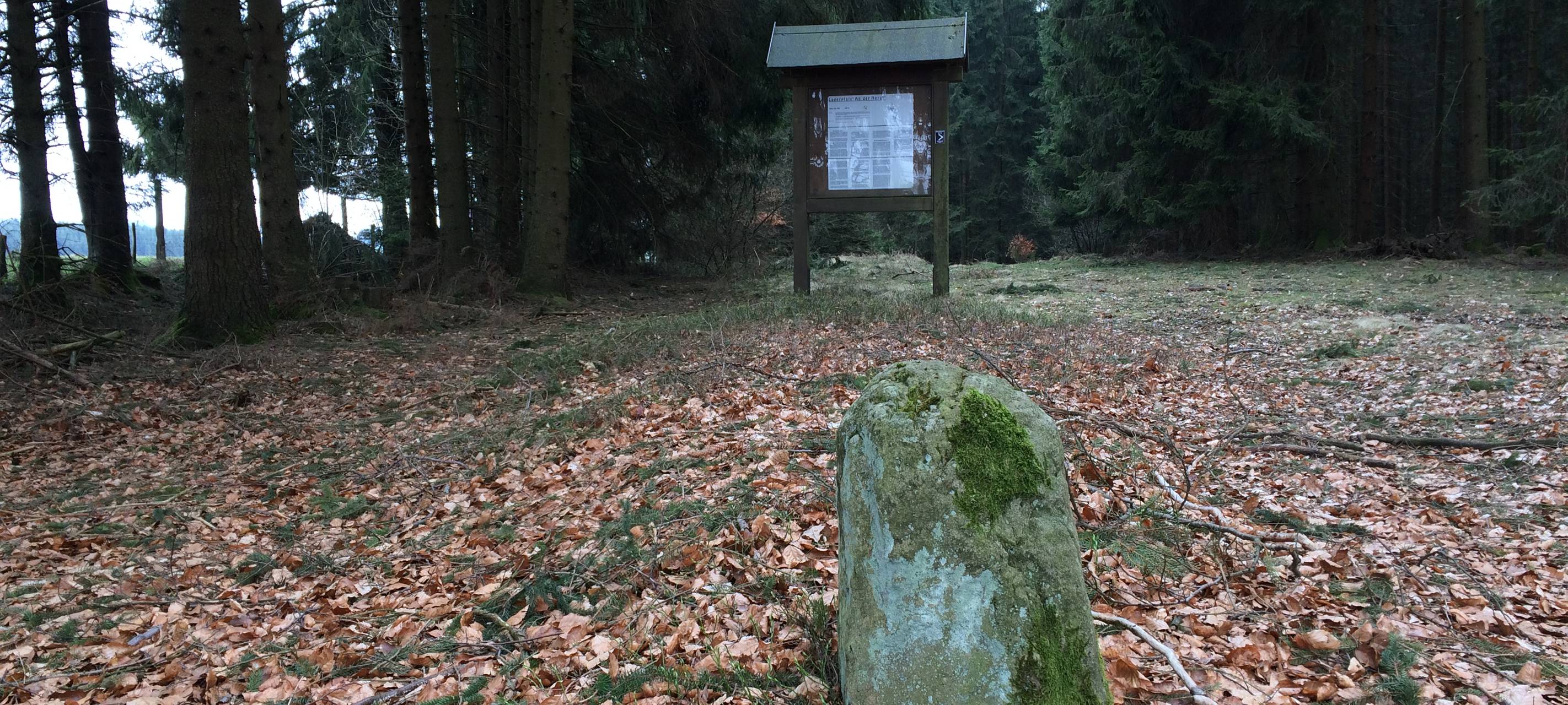 Schnadestein auf dem Lagerplatz "An der Horst" bei Brilon-Rixen, Schnade 2018.
