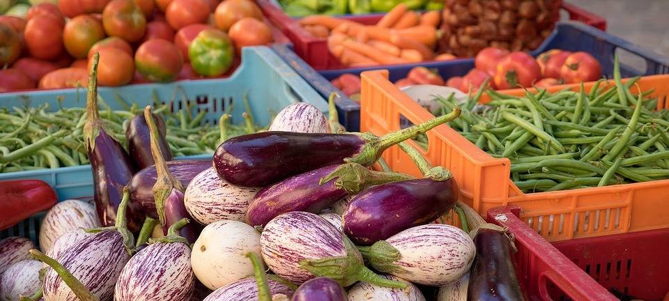 Lebensmittel im Sauerland vor dem Müll retten