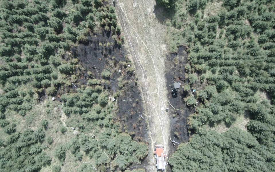 5000 Quadratmeter Waldb bei einem Brand bei Sundern zerstört