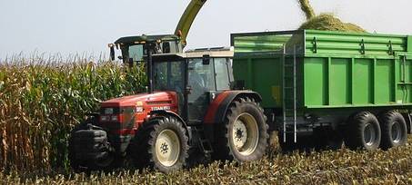 Maisernte im Sauerland hat begonnen