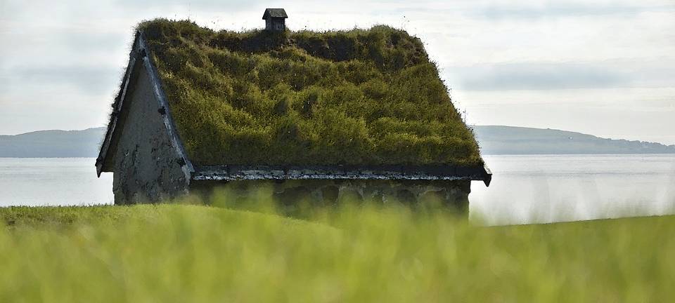 Bewachsene Dächer sind rar
